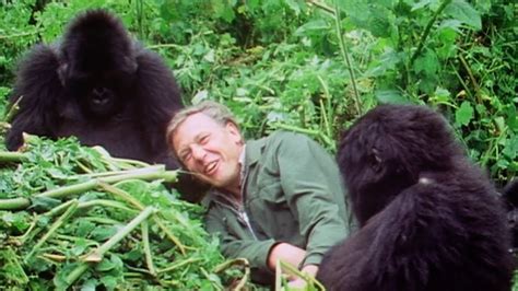 Sir David Attenborough at 90: Trailer - BBC - YouTube