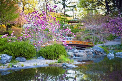 Japanese garden - Zen, Nature, Aesthetics | Britannica