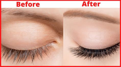 Grow Long, Thick & Strong Eyebrows & Eyelashes In Just 5 Days | DIY Eyelash & Eyebrows Growth ...