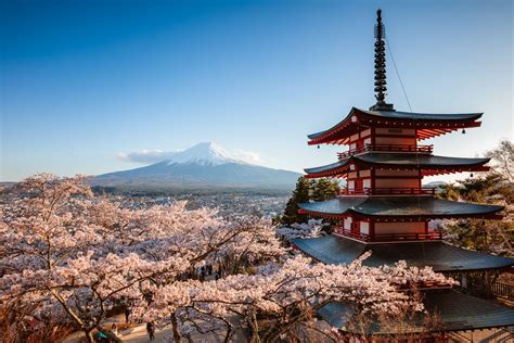 The 9 Best Japan Tours of 2021