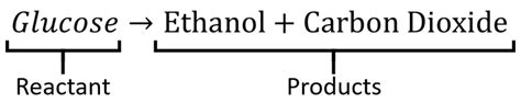 Fermentation - Key Stage Wiki