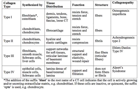 Collagen Types Mnemonic | Madep Decoration