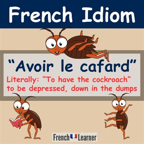 Avoir le cafard - to be down in the dumps | FrenchLearner