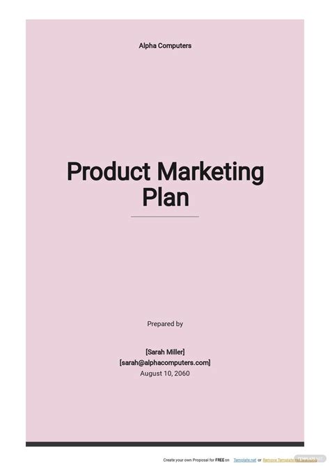 Product Marketing Plan Template [Free PDF] | Template.net