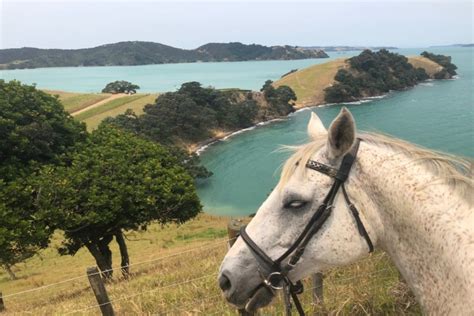 10 Of The Best Winter 2021 Activities To Do In Auckland - Secret Auckland