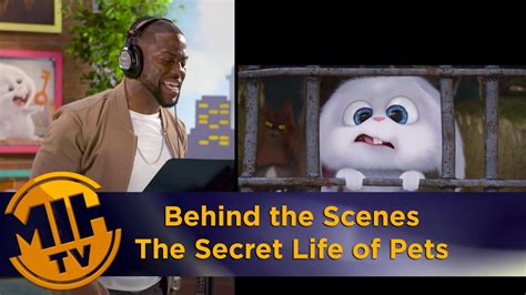 The Secret Life of Pets - Behind the scenes - YouTube