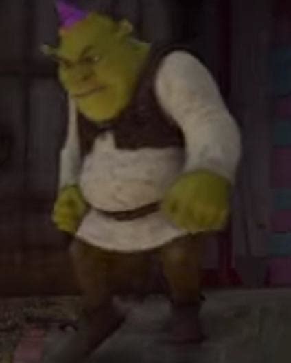 Shrek Mad