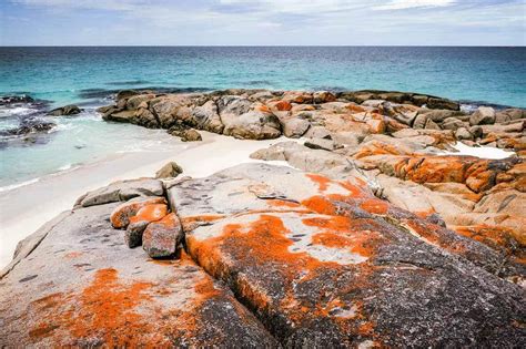 Bay of Fires in Tasmania ∞ ANYWAYINAWAY