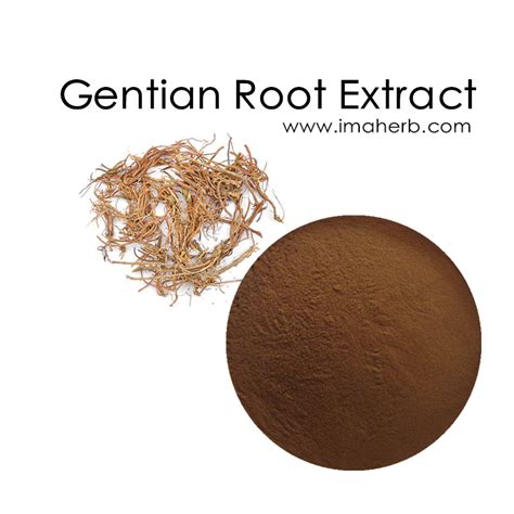 100% Natural Gentian Root P.E. Powder 10:1