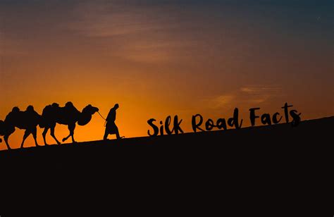 Silk Road Facts | Fun Facts about the Silk Road 2022/2023 (2023)