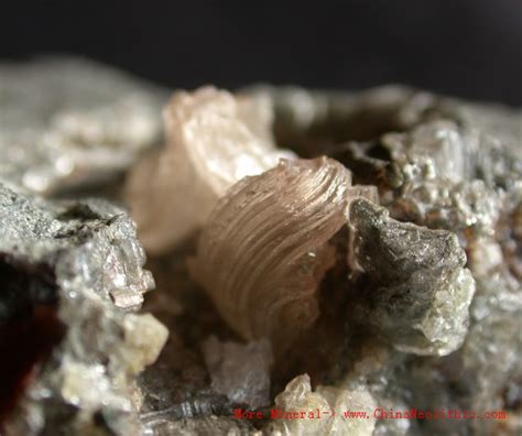 Sylvite-Sylvite-Mineral Photos-Mineral Encyclopedia-Neolithic Mineral ...