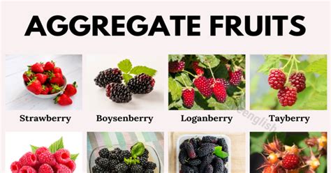 Aggregate Fruit Names | List Of 20+ Aggregate Fruits With Their Benefits - Love English