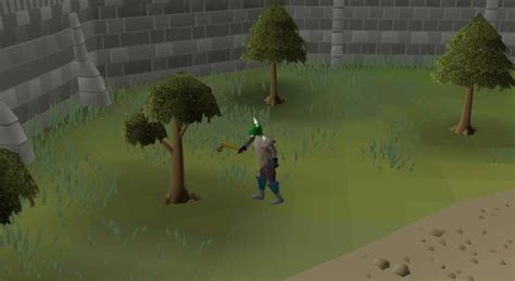 OSRS Woodcutting Training Guide: Best Woodcutting Locations - Rune Fanatics