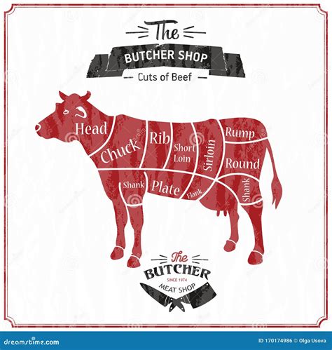 Beginner's Guide To Beef Cuts, Angus Beef Butcher Chart Laminated Wall Decor Art Print Poster ...