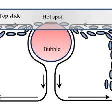 Cartoon depiction of the direction of Gibbs-Marangoni convection around... | Download Scientific ...