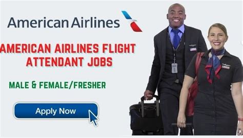 American Airlines Flight Attendant Jobs For Freshers In 2024