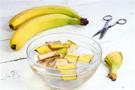 DIY Banana Peel Fertilizer: How to Make Liquid & Dry Banana Peel Fertilizer at Home for Your ...