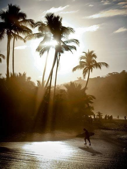 palm trees, surf, surfing, surfer, waves, ocean, sea, water, swell, surf culture, island, beach ...