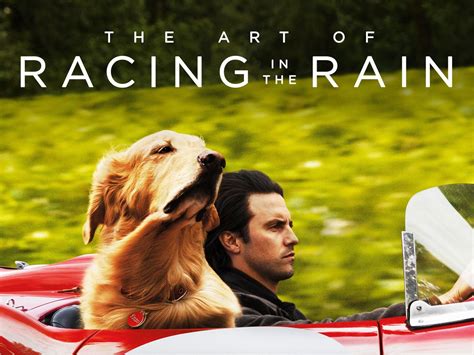 The Art of Racing in the Rain: Trailer 1 - Trailers & Videos - Rotten Tomatoes