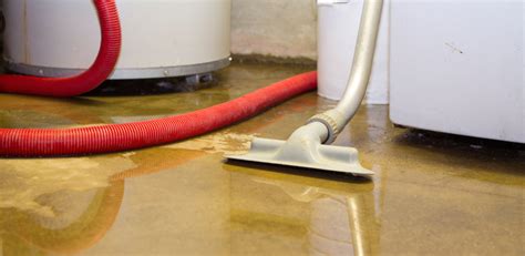 Your Guide to Water Damage Restoration and Basement Cleanup - Yellow Restoration