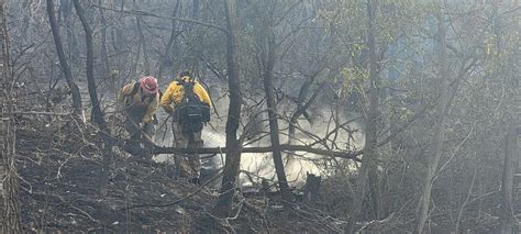 Four-wheel vehicle started fire in Nebraska National Forest near Halsey ...