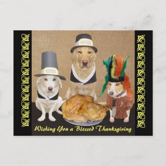 Funny Thanksgiving Cards - Invitations, Greeting & Photo Cards | Zazzle