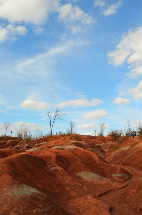 Woman in Real Life: The Cheltenham Badlands