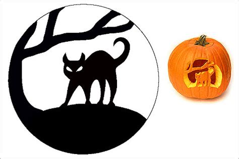 Carve a Jack O'Lantern using a template - Celebrate & Decorate