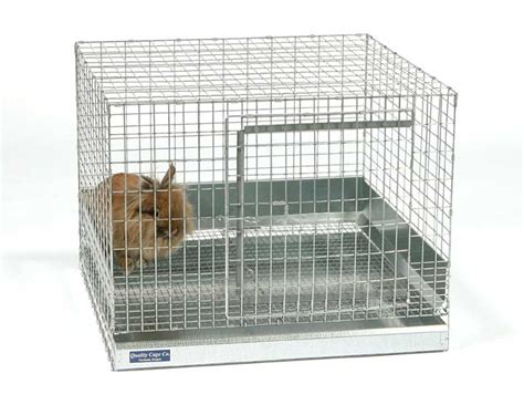 Rabbit cages. High quality complete bunny cages