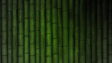 HD Bamboo Backgrounds Free Download