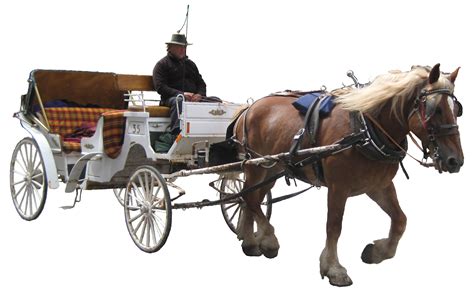 Horse And Buggy PNG Transparent Horse And Buggy.PNG Images. | PlusPNG