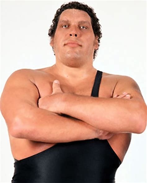 Andre the Giant - Wrestler - Fantasy Character Profile - Writeups.org