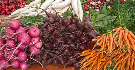 Benefits Of Root Vegetables: 8 Reasons To Add More To Your Diet