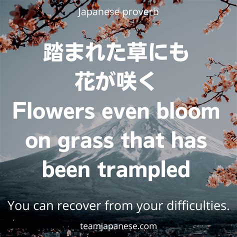 27 Beautiful and Inspirational Japanese Quotes (2024)