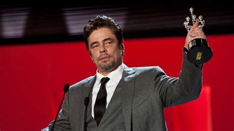 San Sebastian: Benicio Del Toro Wins Donostia Award – The Hollywood Reporter