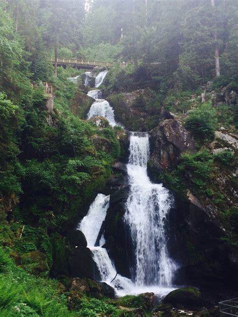 a waterfall in the middle of a forest filled with lots of green plants and trees