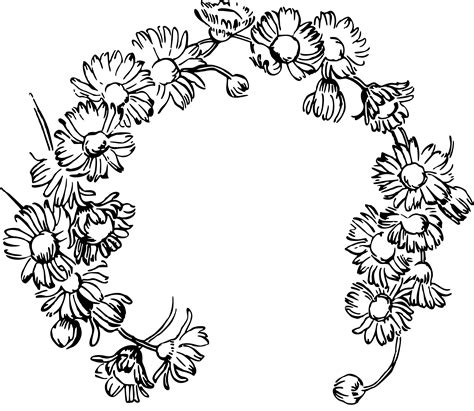 Garland clipart daisy chain, Garland daisy chain Transparent FREE for download on WebStockReview ...