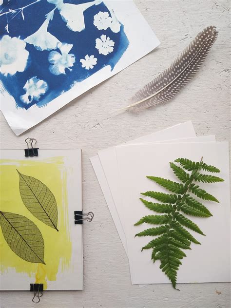 5 simple steps for getting started with Cyanotype printing — Kate ...