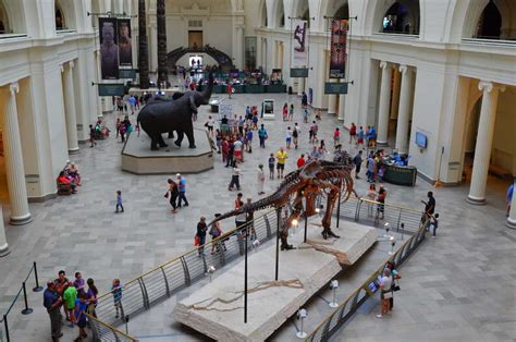 Best Museums in Chicago: Art, History, and Exhibits Worth Visiting - Thrillist