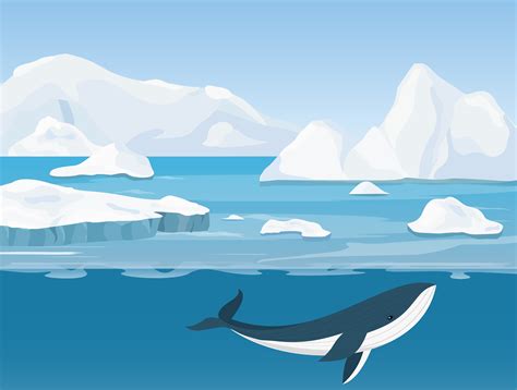 Geography: Arctic Ocean: Level 1 activity for kids | PrimaryLeap.co.uk