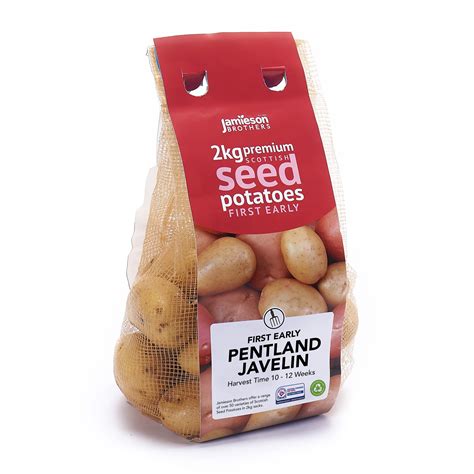 Buy Jamieson Brothers 2kg Pentland Javelin Seed Potatoes – JBA First Early Grow Your Own Spuds ...