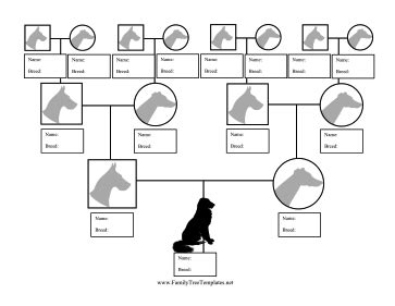 Perfect for dog breeders, this pedigree chart tracks the ancestors of dogs through four ...