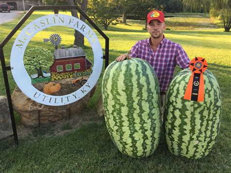 A Watermelon Win - The Hancock Clarion