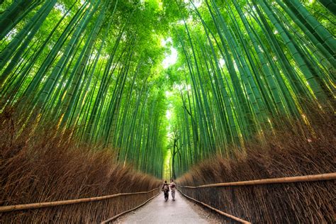 Sagano Bamboo Forest, Kyoto Japan - Sven Taubert on Fstoppers