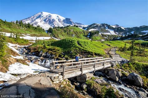 Paradise Mount Rainier - Earth Trekkers