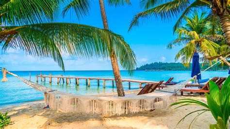 #tourism #tropical tropical beach #summer #summertime #sky #lagoon #tree #shore #resort #hammock ...