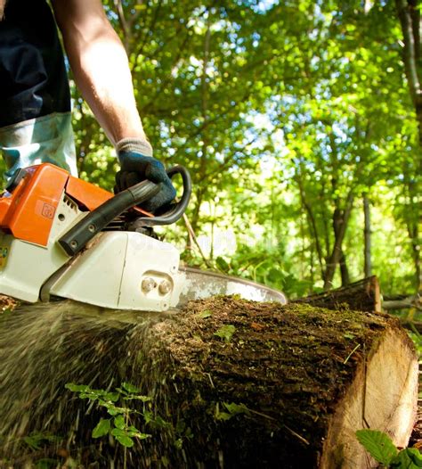 Chainsaw Cutting Wood Royalty Free Stock Photography - Image: 18250577