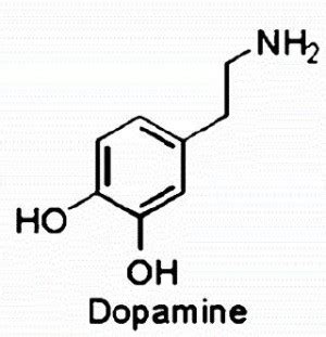 HonChemistry - Cause of Depression