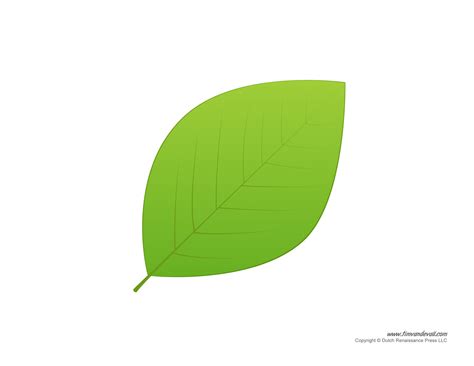 Printable Picture Of A Leaf