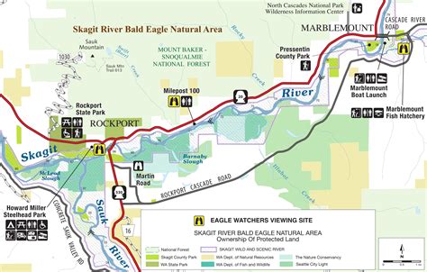 Visit the Skagit River for Eagle Viewing and Hiking — Washington Trails Association